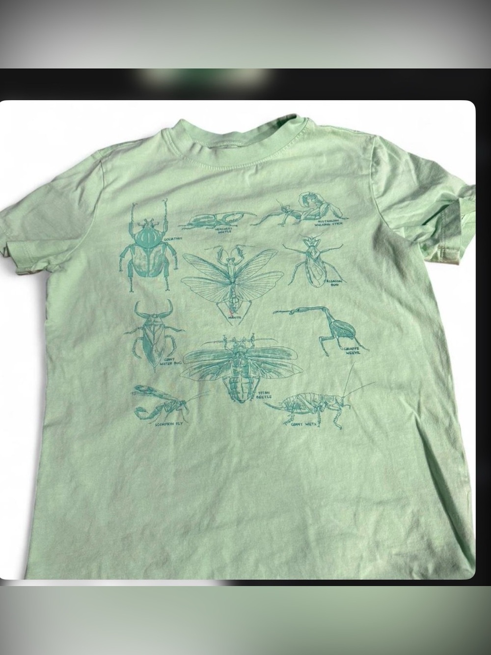 Lands' End Mint Green Crewneck Tee